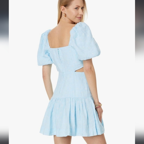 NWT Lilly Pulitzer Kylanne Drive Me Daisy Linen Dress - Picture 4 of 16